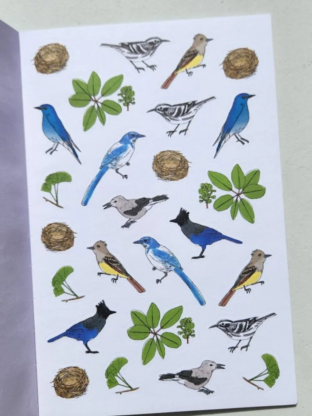 Nature Anatomy Sticker Book Julia Rothman 750 Stickers birds, feathers, wildflow